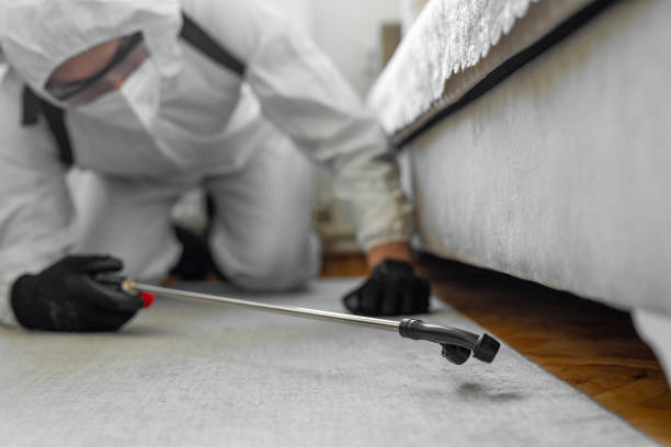 Professional Pest Control technician working in Rice County County, MN